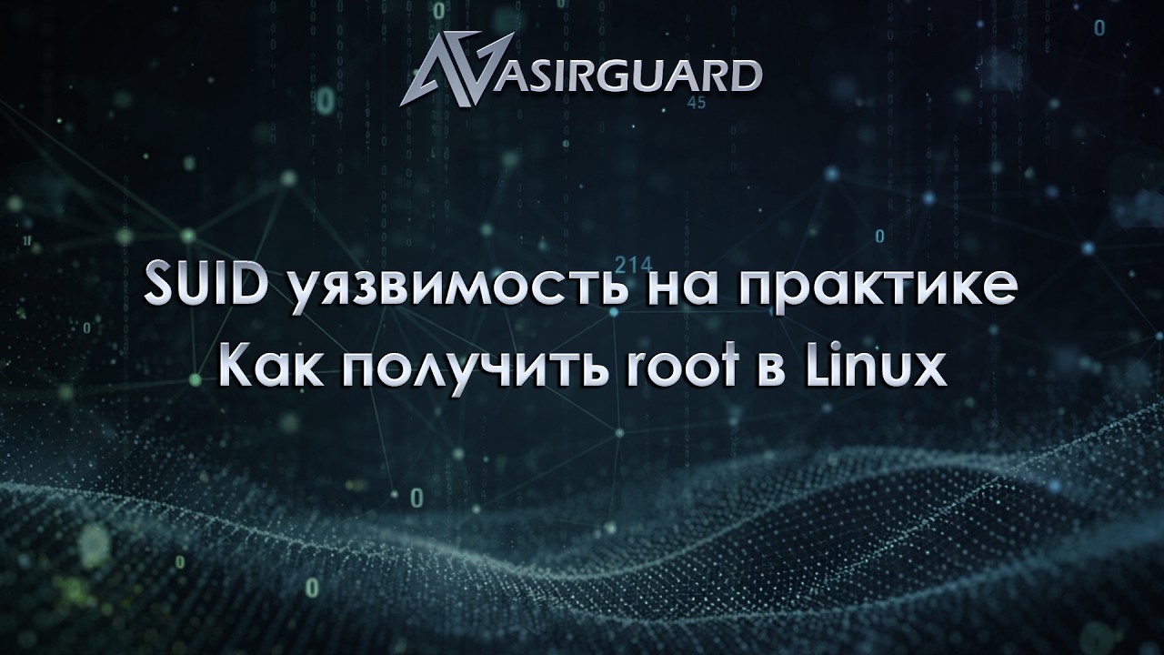 SUID уязвимость на практике | Как получить root в Linux (разбор пентеста)
