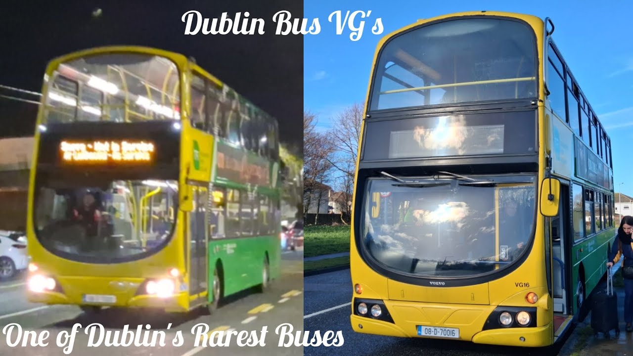 Dublin Bus VG's, One of Dublin's Rarest Buses?