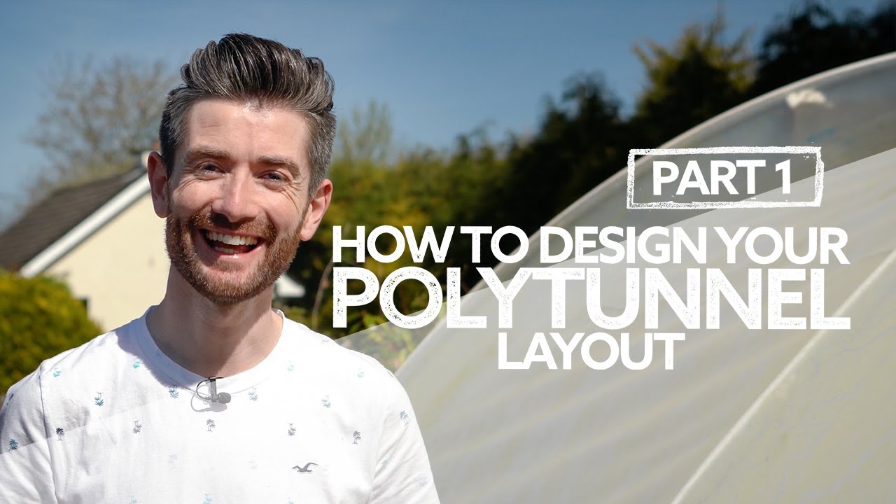 How to Design Your Polytunnel Layout Part 1 | My Polytunnel Renovation!