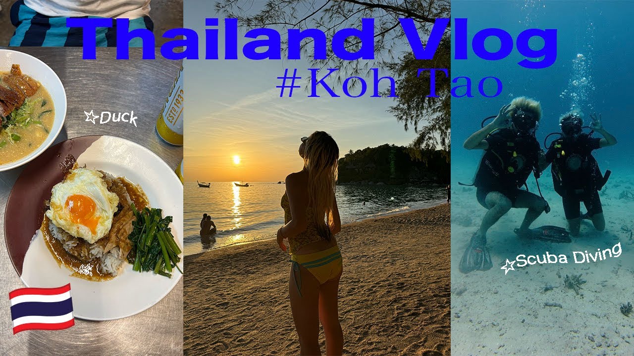 Thailand Vlog #3 | Koh Tao | Island hopping | Scuba Diving | Pool club | タオ島 | タイVlog |ダイビング