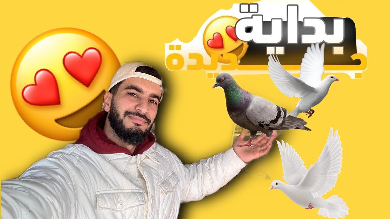 غادي نزيد حمام جديد 🕊️ 😍