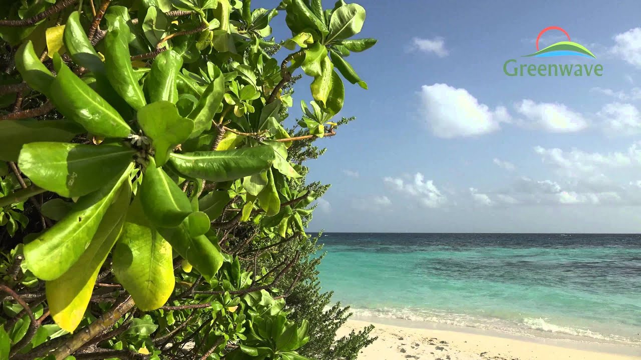 Tropical Island - Maldives - 4K