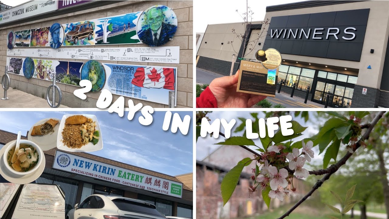End of Cherry Blossom Season, Chinese Food, Buying Korean Skincare | life in Canada vlog