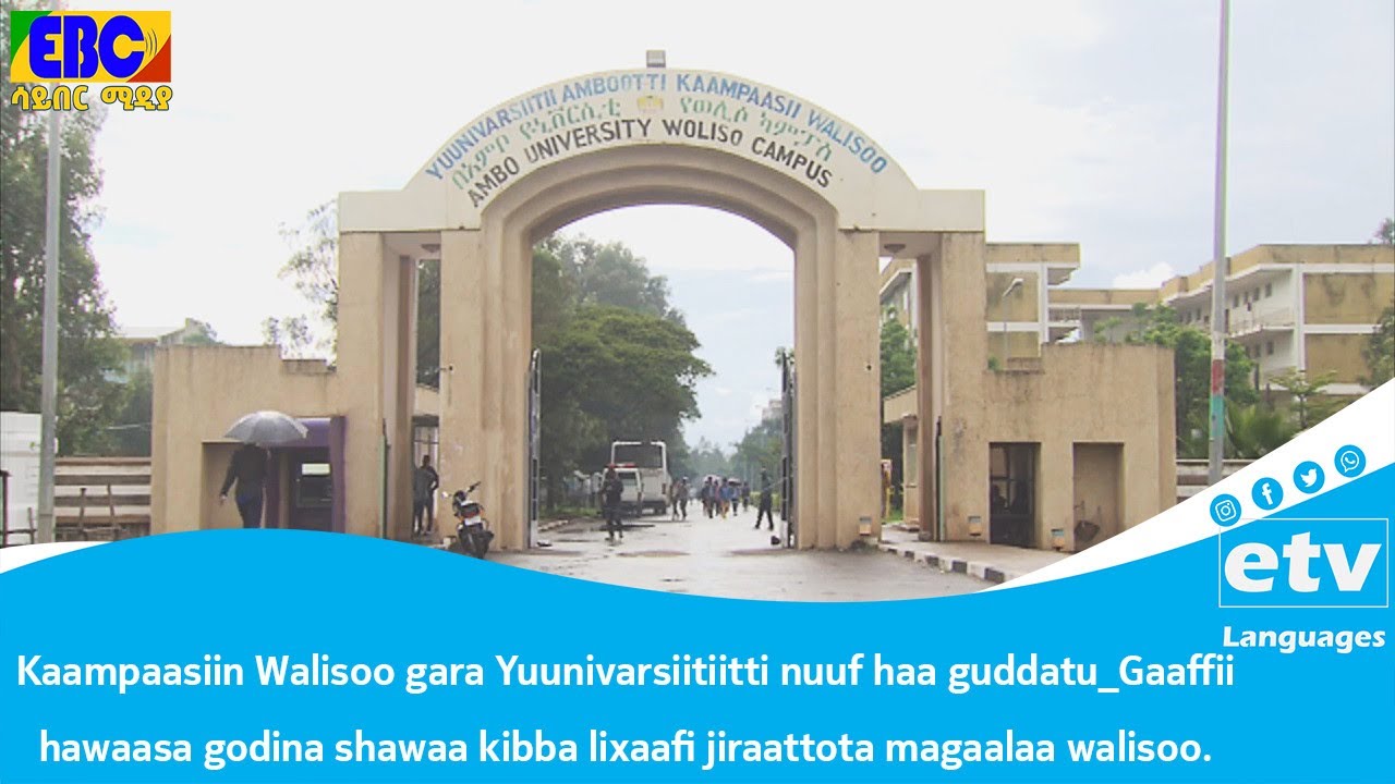 Kaampaasiin Walisoo gara Yuunivarsiitiitti nuuf haa guddatu_Gaaffii hawaasa godina shawaa kibba.....
