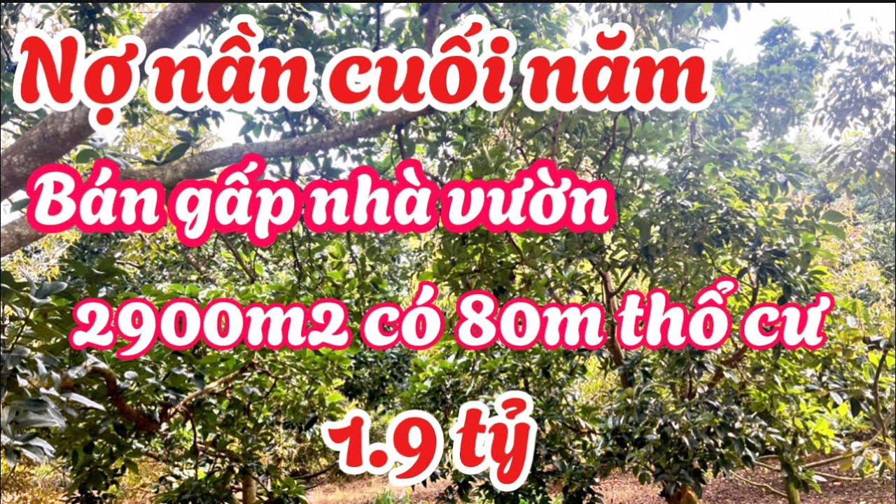  Chủ kẹt quá rồi. Bán nhà vườn Long Khánh. 2900m2 có 80m thổ cư. Giá 1.9 tỷ  .
