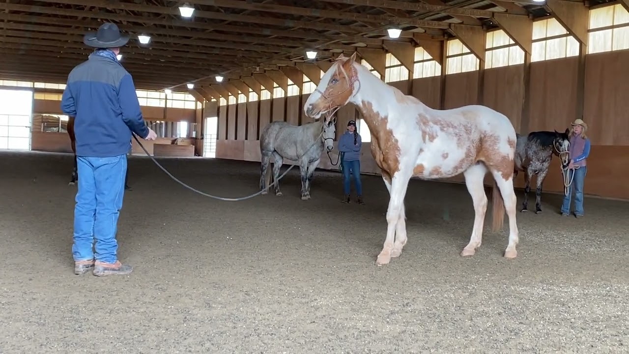 Backing with wiggle and wave