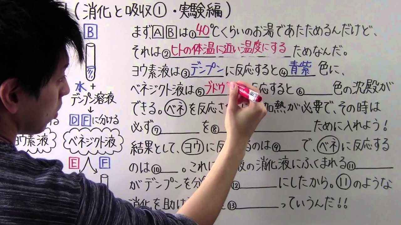 【理科】中2-17 消化と吸収①・実験編