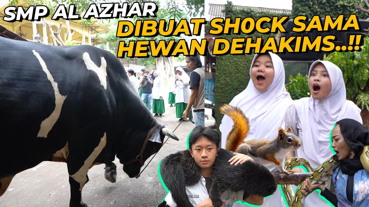 NGAKAK..!!! TAKUT SAMA ULER TAPI SAMA SAPI JUMBO BERANI..??!