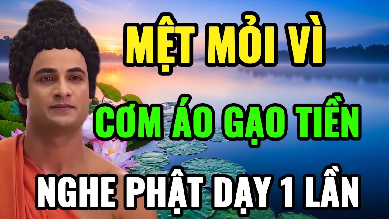 Mệt Mỏi Vì Cơm Áo Gạo Tiền – Nghe Phật Dạy 1 Lần Để Tâm Bình An | Audio Phật Từ Bi