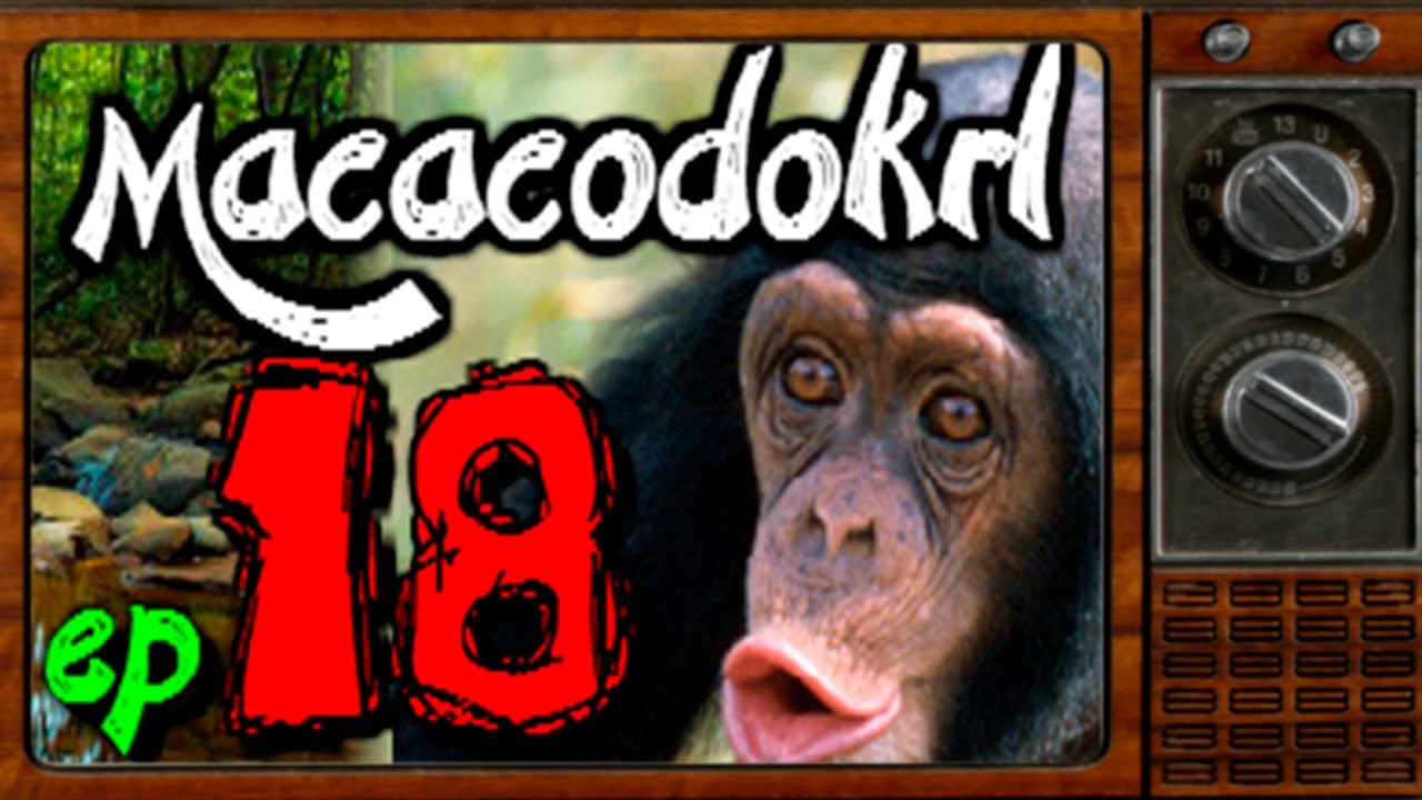 Ep.18 #macacodokrl 🐵 ↪ Summoners War BR
