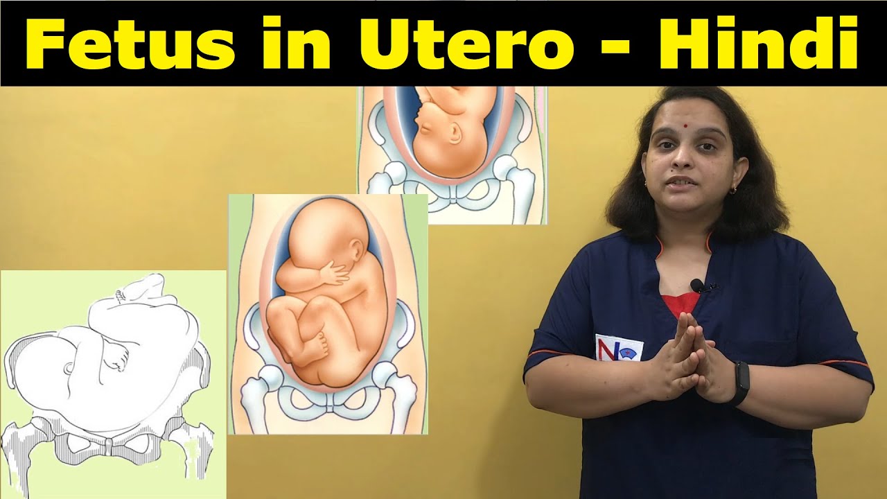 Fetus in Utero in Hindi | [Lie Presentation Attitude Denominator Position] | Nursing Lecture