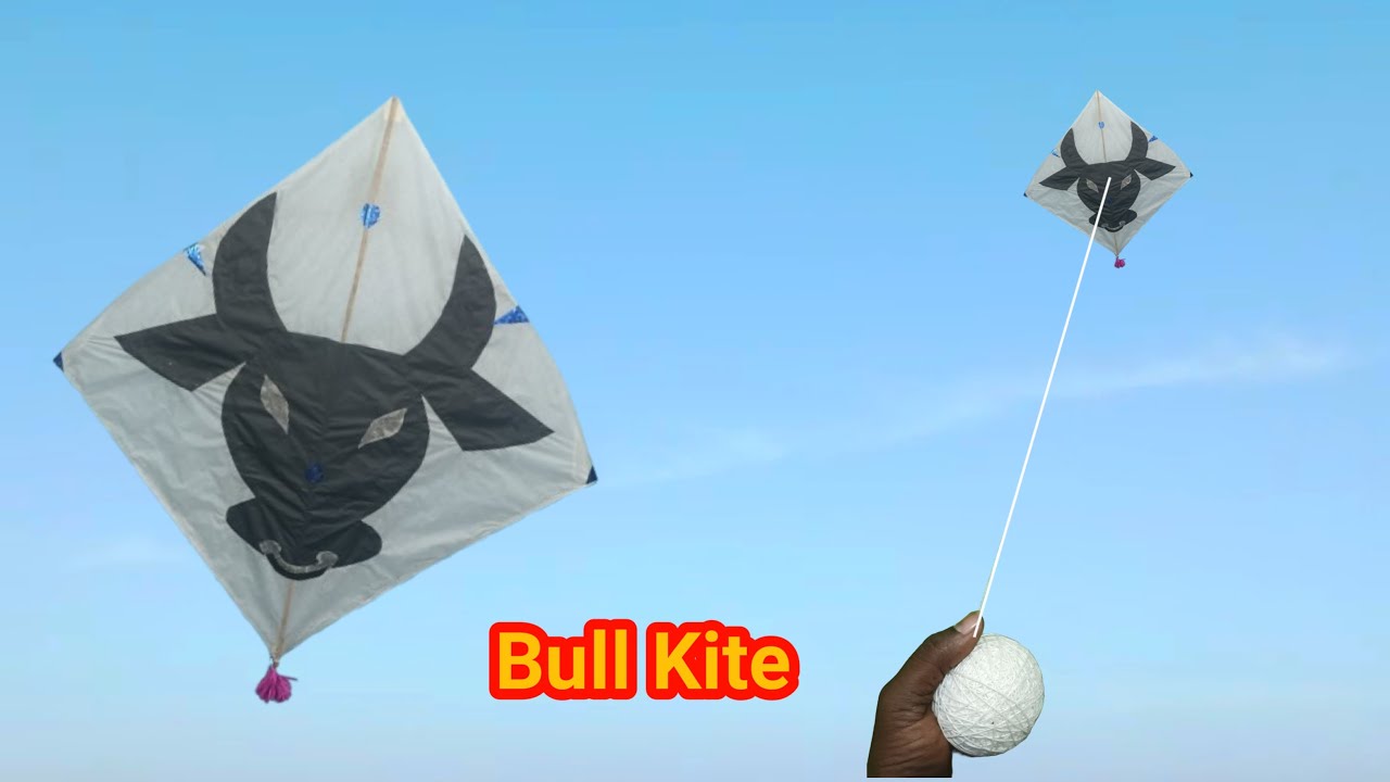Bull Face Design Kite 🪁🪁 Making And Flying Test // How To Make a Bull Face Kite