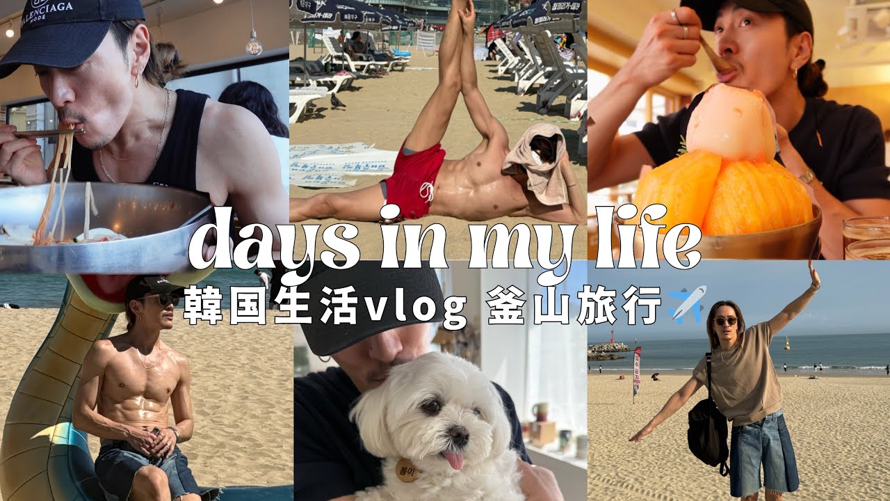【韓国生活vlog】ソウルから釜山へ3泊4日｜食べて買い物して大満足/また財布を失くして大変でした/夏の旅行