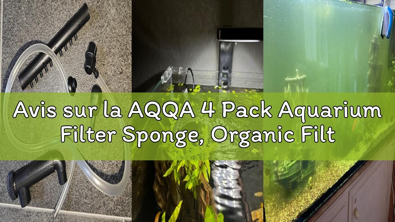 Avis sur la AQQA 4 Pack Aquarium Filter Sponge, Organic Filter Sponges