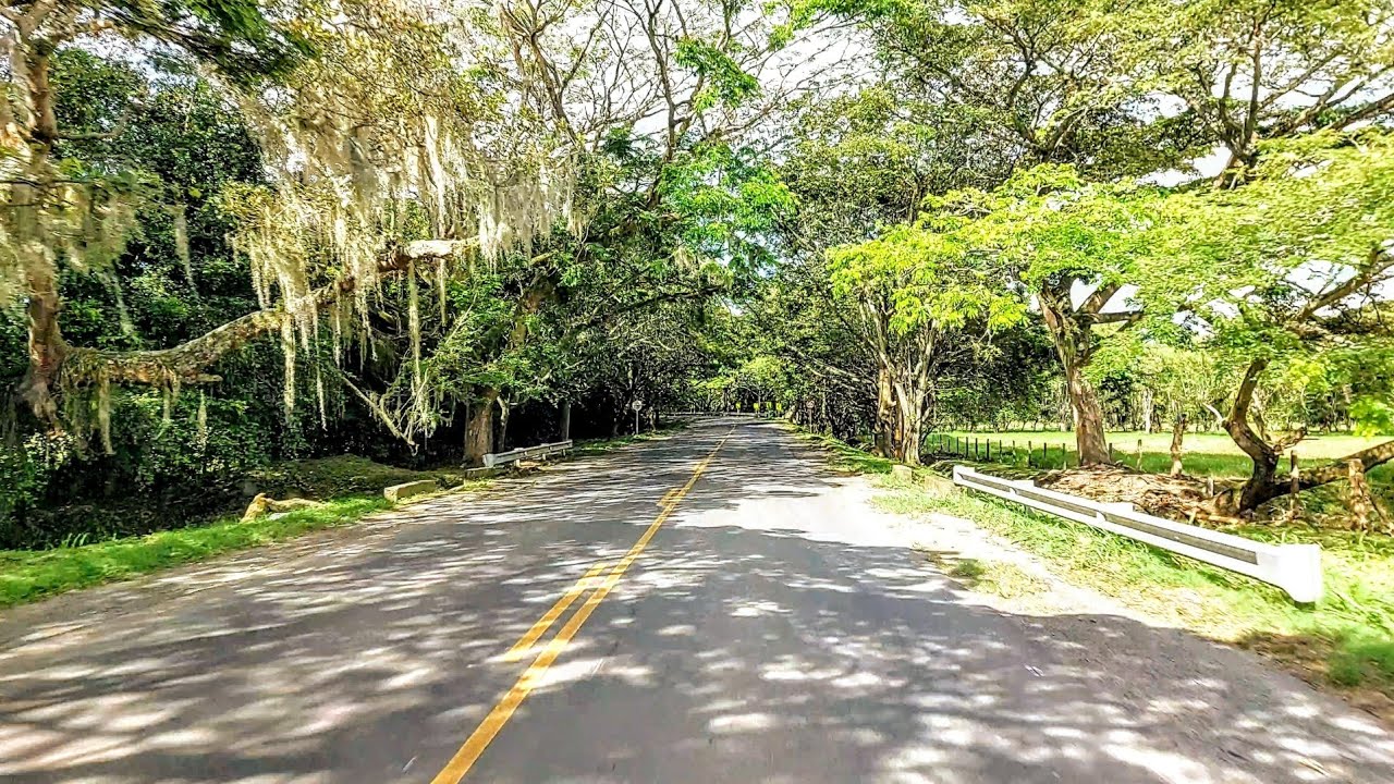 Ruta Cali - La Unión | Capital Vitivinícola de Colombia | Cabalgata Carnaval de la Uva y el Vino