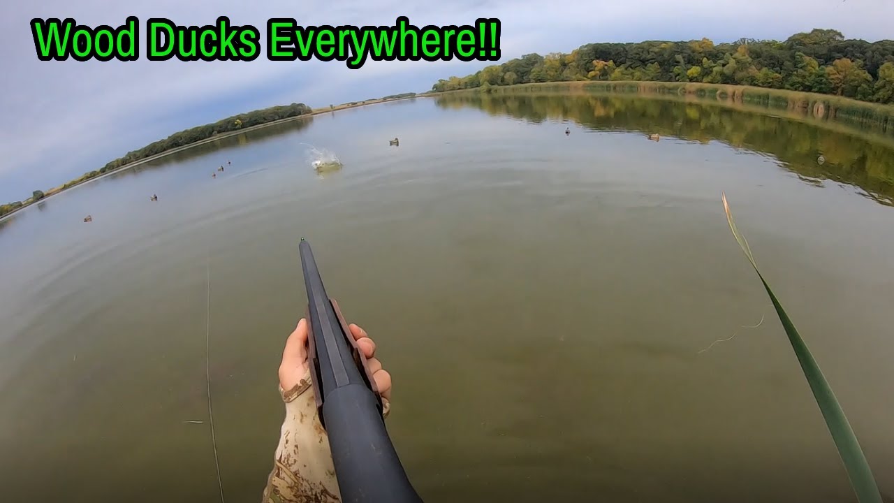Wood Duck Galore! Knocking the Rust Off | Duck Hunting 2022