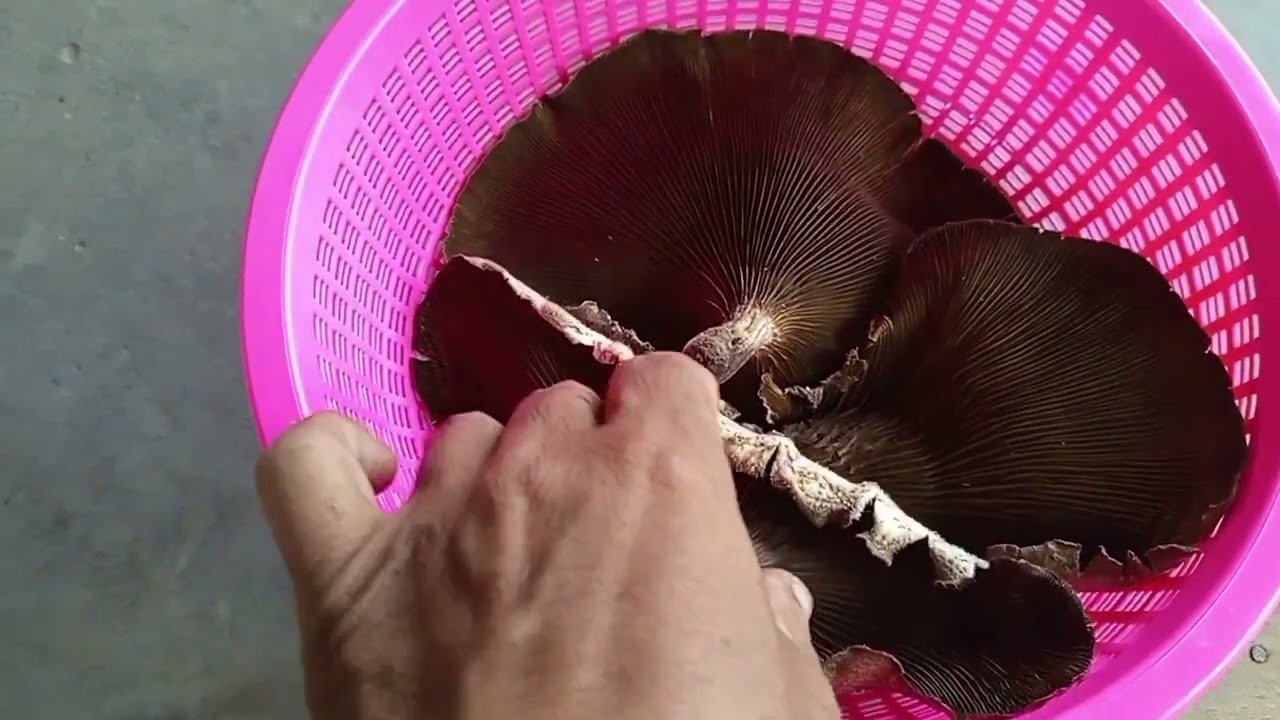 สูตรทำกับข้าวเล็กๆน้อยๆครับ#สูตรบ้านๆ