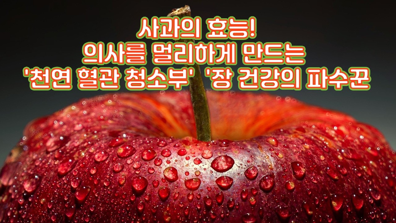 신비로운 사과의 효능과 먹는 방법