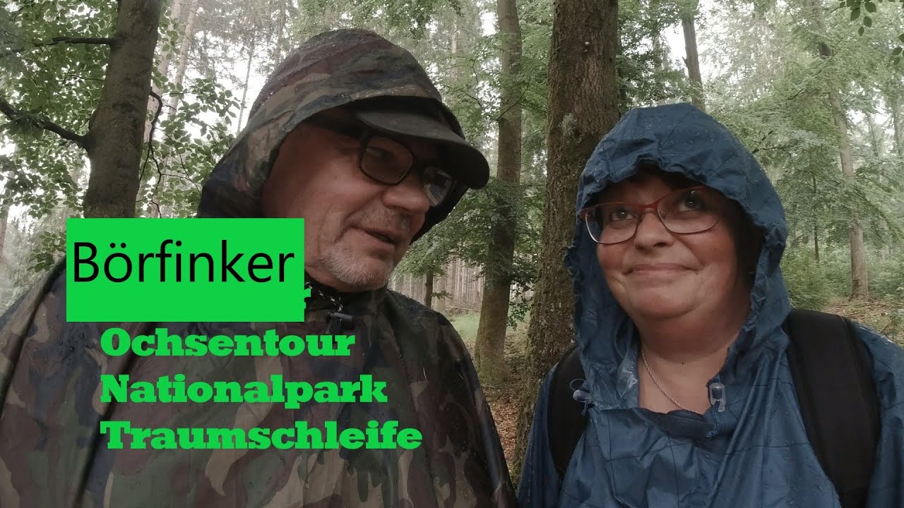 Traumschleife Börfinker Ochsentour ein Traumschleife des Saar-Hunsrück Steig