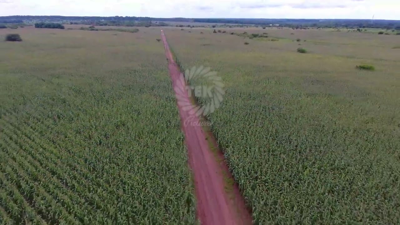 Aerial View || Malawian Farms || Agriculture || Mchinji  || TEK Media Productions ||