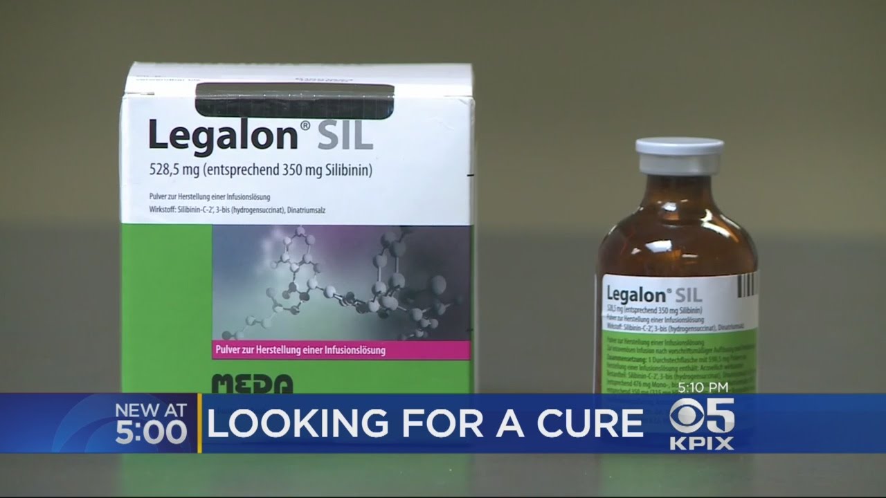 Doctor's Antidote For Death Cap Mushrooms Saves Dozens Of Lives