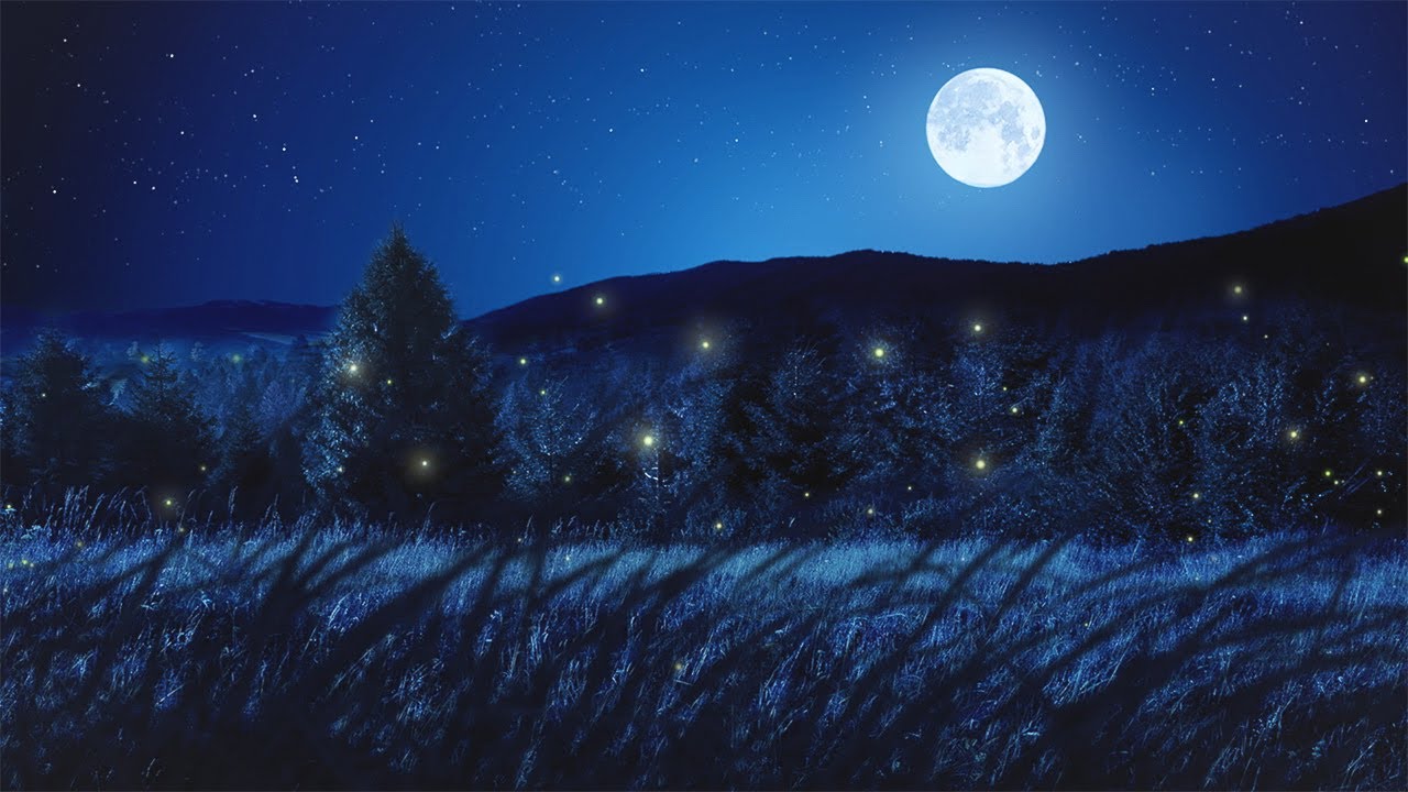 Relaxing Sleep Music and Night Nature Sounds: Soft Crickets, Beautiful Piano, Deep Sleeping Music