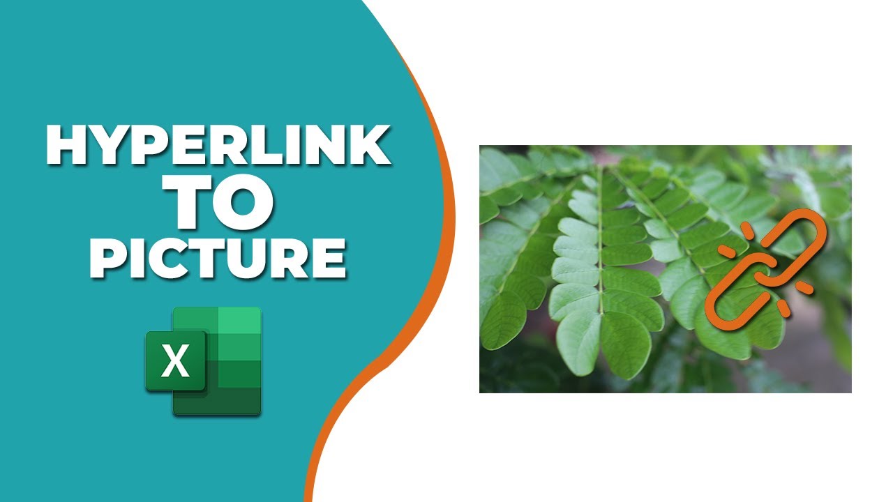 How to create a hyperlink to a picture in excel