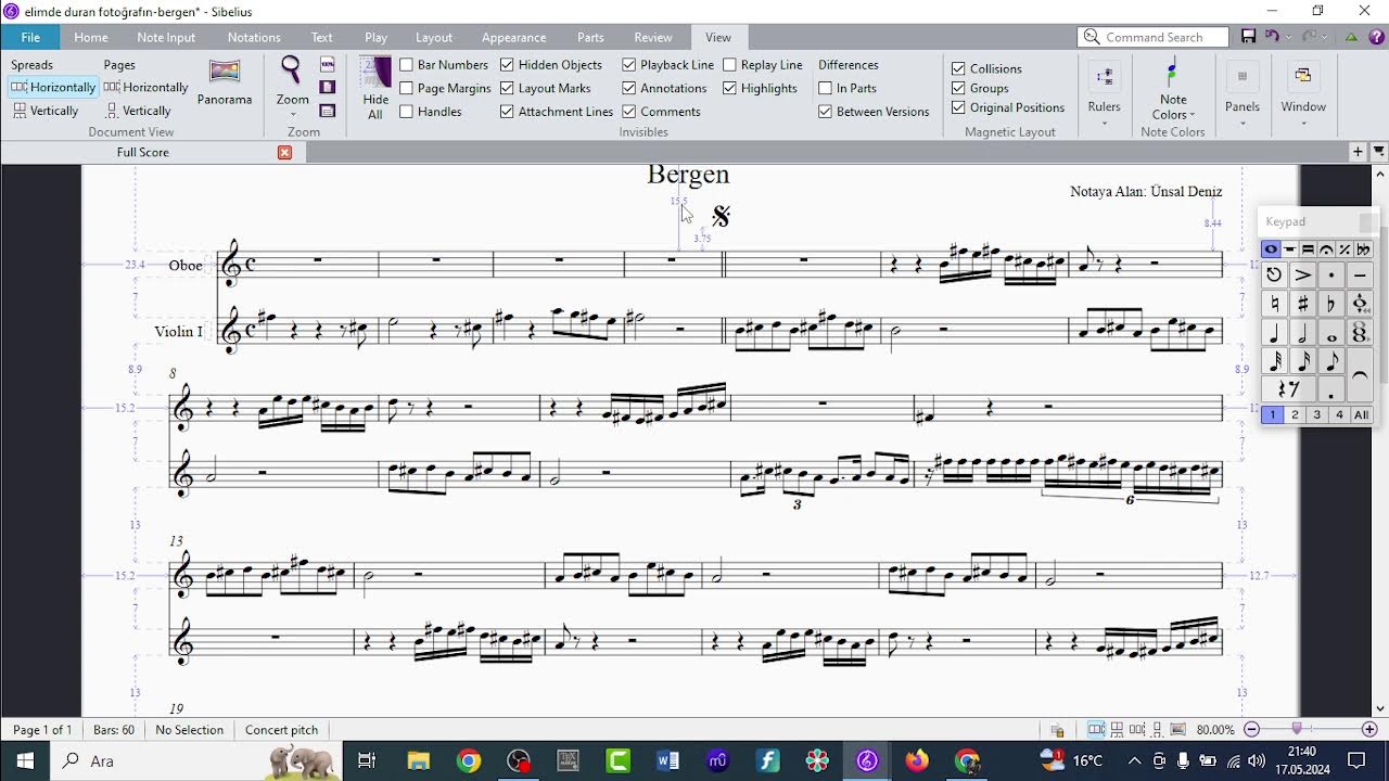Sibelius Eğitimi - Doç.Dr Ünsal DENİZ (Canlı Yayın🔴)