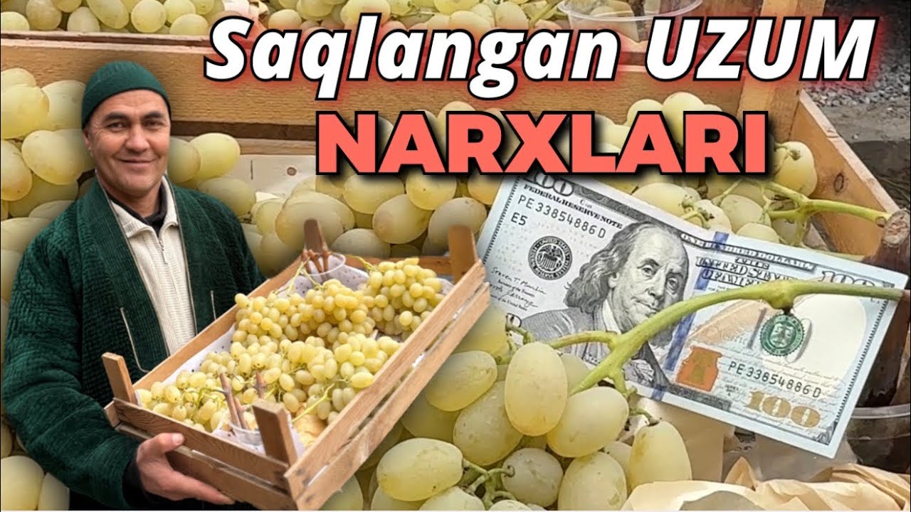 Qishga saqlangan uzum foyda berdimi? Uy sharoitida saqlangan uzumlar narxi. 