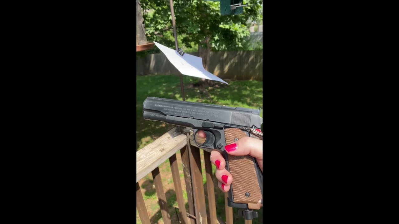 Daisy Power Line Model 45 CO2  177 Cal Pellet Air Pistol