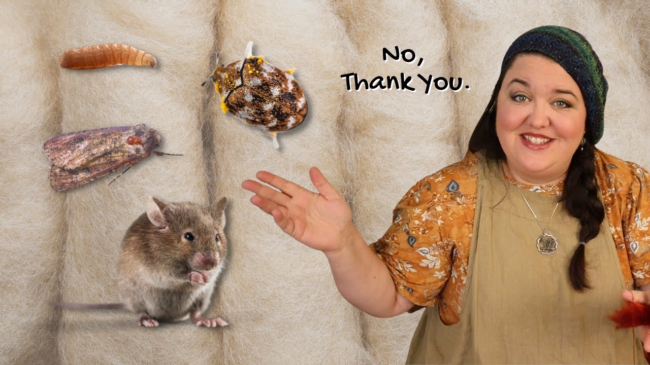 How I Prevent Wool Moths From Getting In My Spinning Fibers And Hand Knits