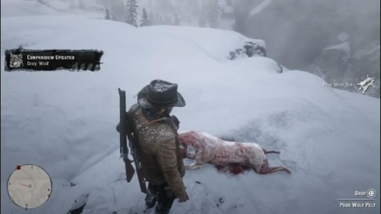 Red Dead Redemption II: PS5 Playthrough #29
