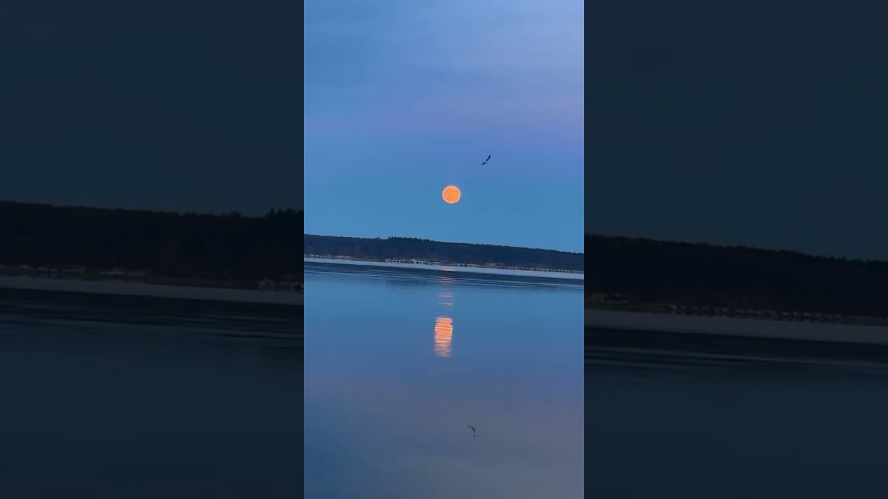 Der Vollmondaufgang über dem See in MV