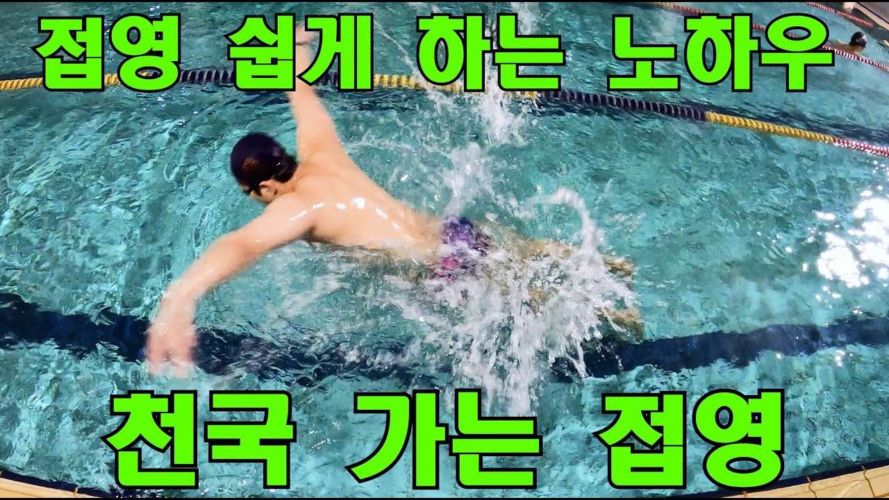 접영이 이렇게 쉬웠나? 새로운 접근 방법. (머리,가슴,엉덩이)!출수는 팔꿈치 힘빼세요!