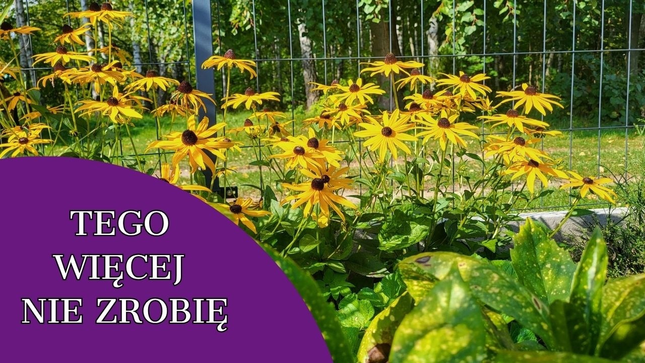 TEGO WIĘCEJ NIE ZROBIĘ 😇😇😇mokry sezon 2026