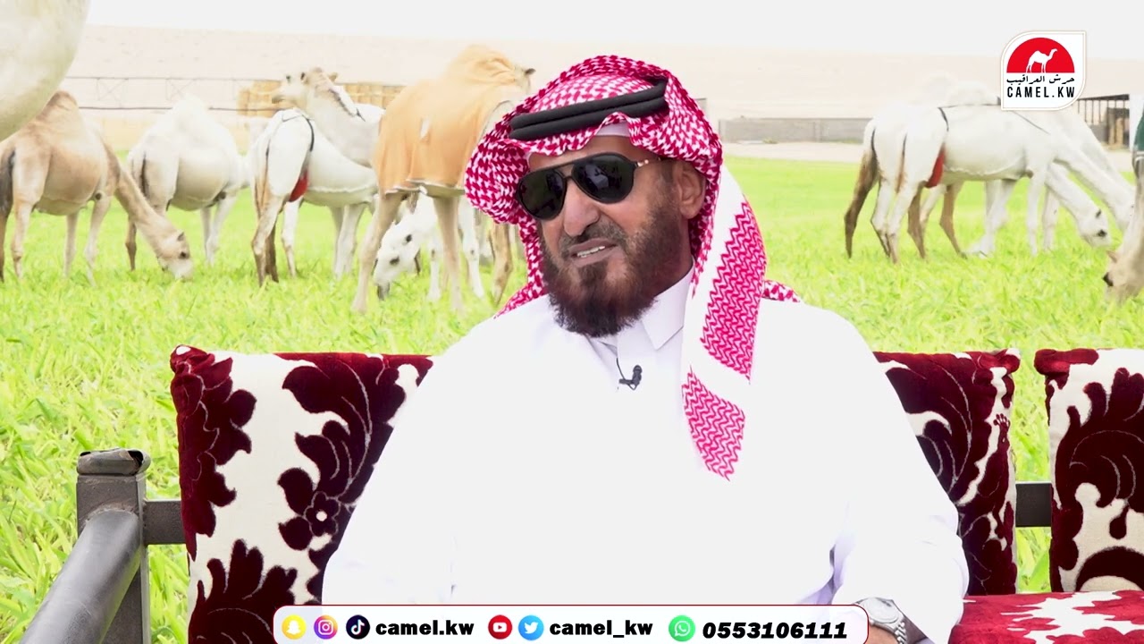 لقاء خاص مع الدكتور/ نادر صقر السحيل  #منصة_حرش_العراقيب