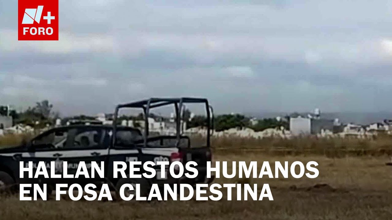 Madres Buscadoras hallan cuerpos en fosa clandestina de Silao, Guanajuato - Sábados de N+ FROO