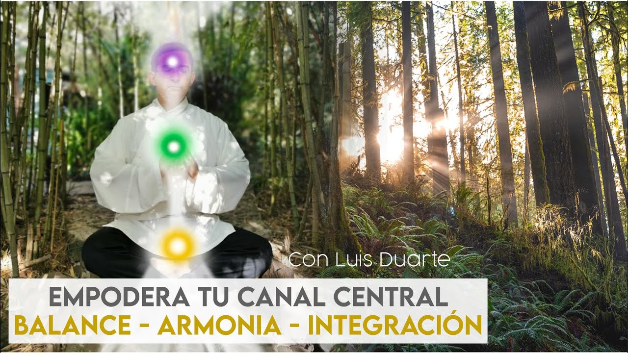 Empodera tus centros de Energía: Canal Central (Balance, Armonía e integración)