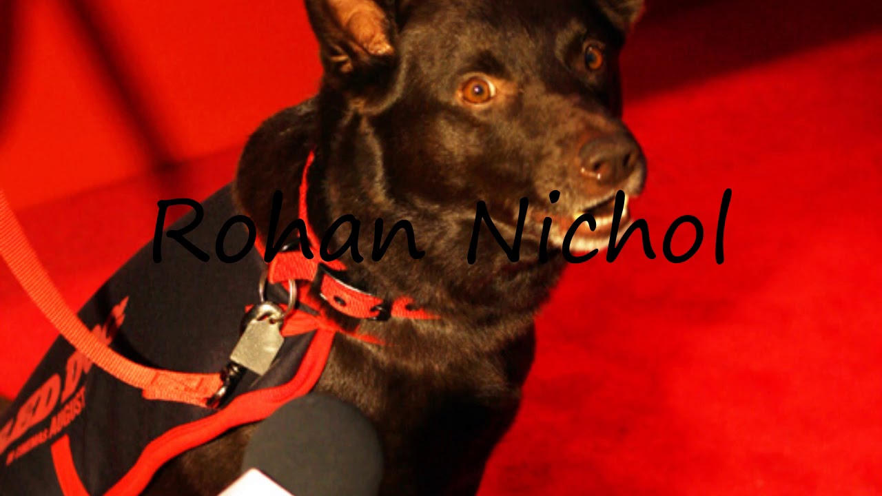 How to Pronounce Rohan Nichol?