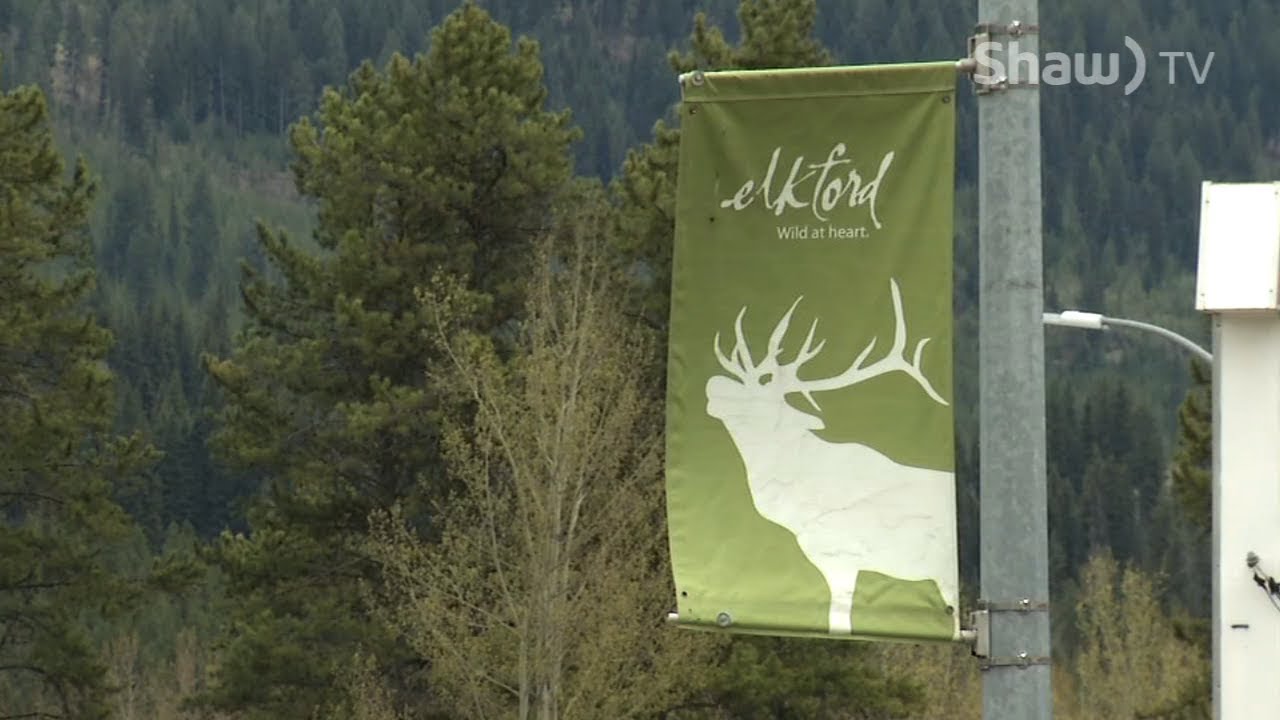 Where You Live: Elkford