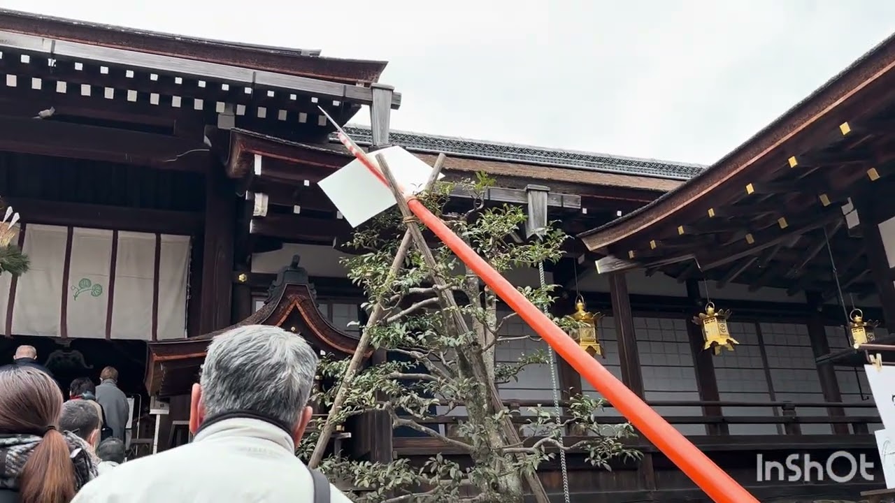 202601 上賀茂神社　下鴨神社　散策