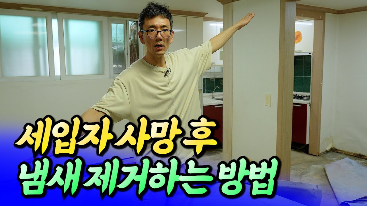 반지하 빌라 냄새 제거 방법ㅣ반지상 5부 [후랭이TV]