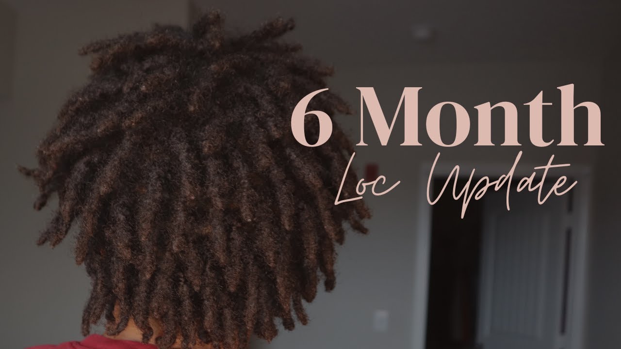 6 Month Loc Update | Wash and Retwist Results