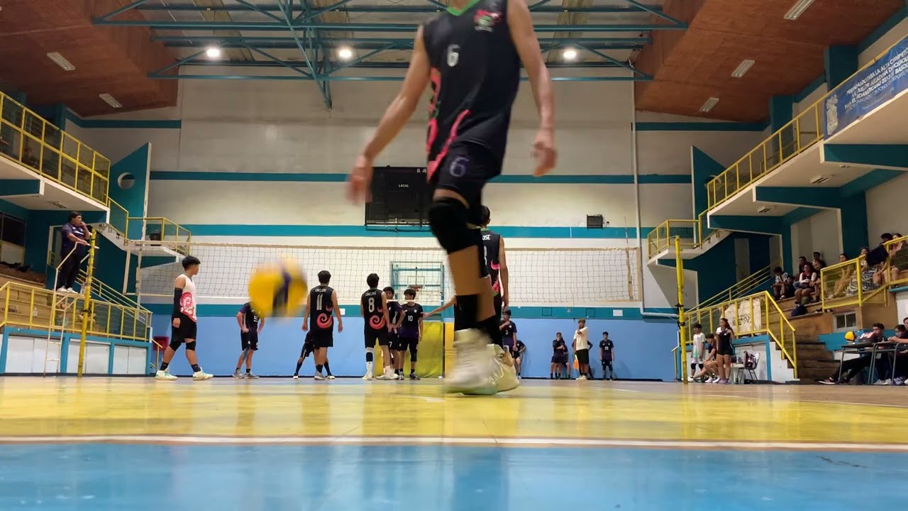 Circlose juv - LPP A, primer set