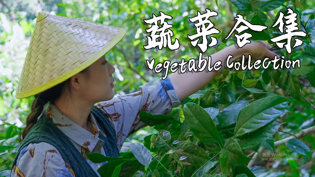 Use the simplest vegetables to create the most flavorful home-cooked dishes【滇西小哥】