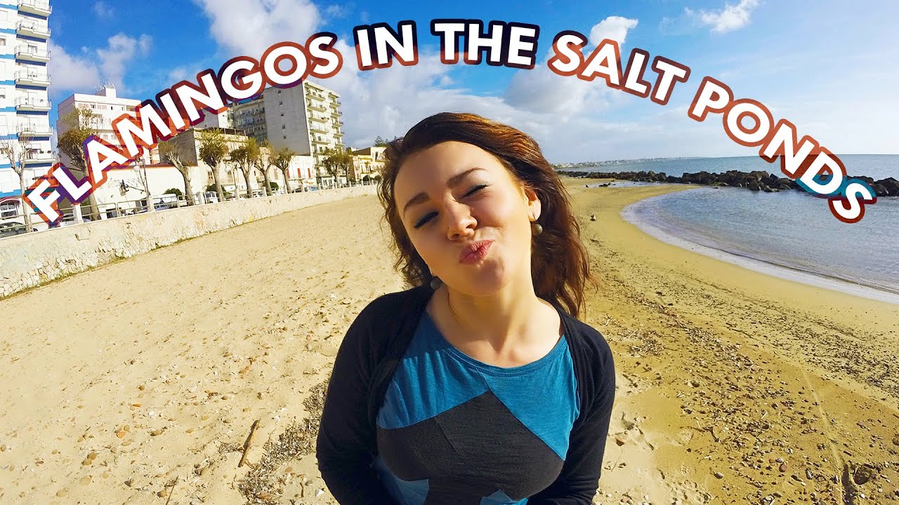 FLAMINGOS IN THE SALT PONDS - West Coast | Sicilian Vibes Ep. 4