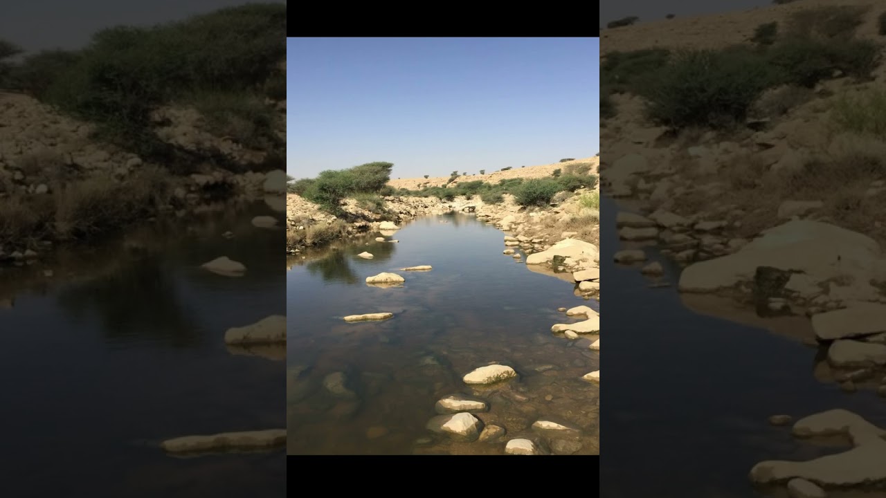 قصص من البادية يتيم وفقير واكرم ضيوفه شوف الله كيف عانه وفرج همه