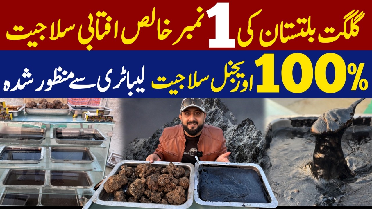 Pure Himalayan Shilajit from Gilgit | Wholesale Market & Original Quality Guide