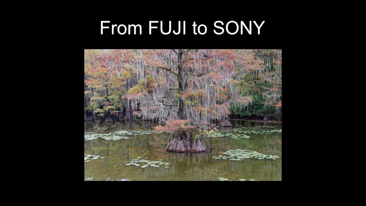 Why I Switched From Fuji To Sony
