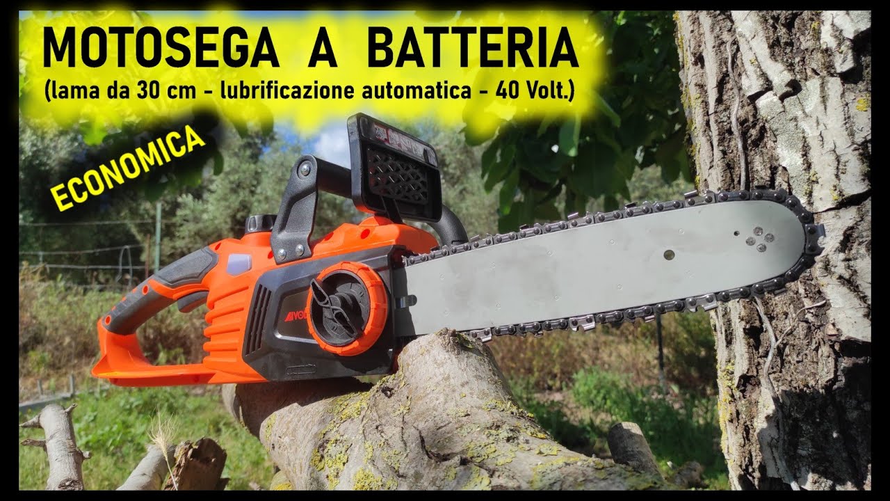 Motosega a batteria potente, economica, lama da 30 cm e autlubrificante